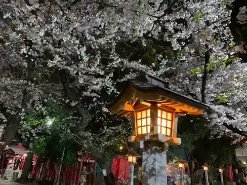 花園神社の自然