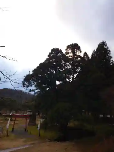 一本杉神社(島根県)