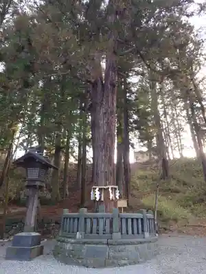 諏訪大社下社春宮(長野県)