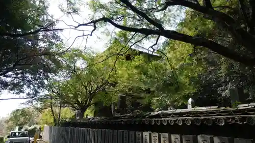 熊谷寺(徳島県)