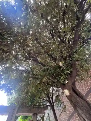 御園神社(東京都)
