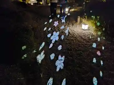 知恩院(京都府)