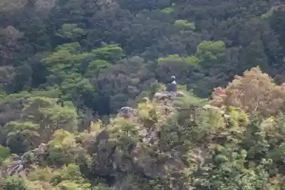 太龍寺(徳島県)
