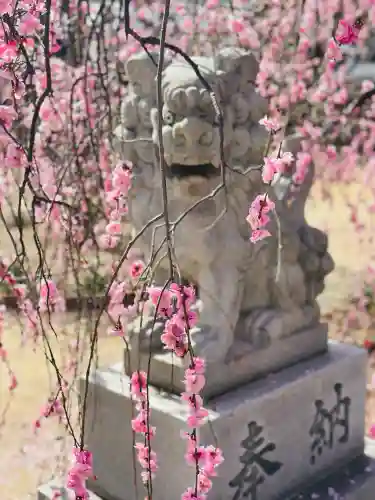 屯倉神社の{uncategorized: "未分類", other: "その他", undefined: "問題あり", building: "その他建物", grave: "お墓", sacred_gate: "鳥居", guardian: "狛犬", statue: "像", buddha: "仏像", history: "歴史", nature: "自然", garden: "庭園", animal: "動物", pagoda: "塔", temizu: "手水舎", mountain_gate: "山門・神門", sanctuary: "本殿・本堂", subordinate: "末社・摂社", art: "芸術", scenery: "景色", jizo: "地蔵", ema: "絵馬", goshuin: "御朱印", omikuji: "おみくじ", items: "授与品その他", amulet: "お守り", goshuincho: "御朱印帳", eats: "食事", festival: "お祭り", votive_dance: "神楽", shichigosan: "七五三参", wedding: "結婚式", experience: "体験その他", initially: "初詣", around: "周辺", anti_infection: "感染症対策"}