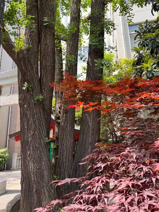 日本橋日枝神社の自然