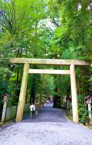 椿大神社の鳥居