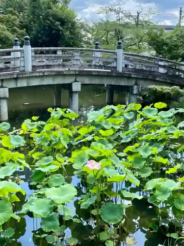 くろ谷 金戒光明寺の庭園