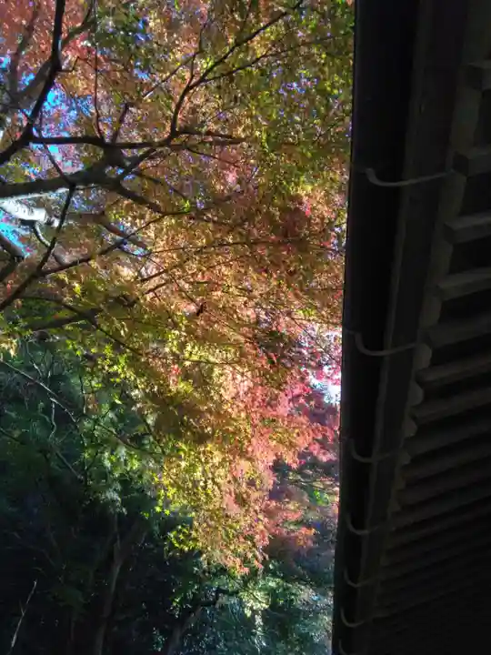 明月院(神奈川県)