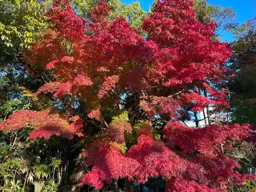 伊勢の国 四天王寺(三重県)