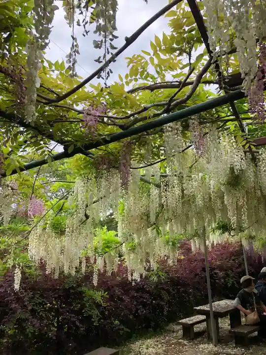 和気神社の自然