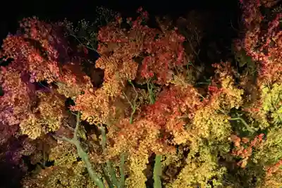 北広島市総鎮守　廣島神社(北海道)