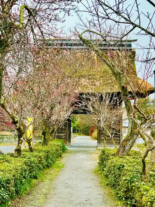 永福寺 童子堂の{uncategorized: "未分類", other: "その他", undefined: "問題あり", building: "その他建物", grave: "お墓", sacred_gate: "鳥居", guardian: "狛犬", statue: "像", buddha: "仏像", history: "歴史", nature: "自然", garden: "庭園", animal: "動物", pagoda: "塔", temizu: "手水舎", mountain_gate: "山門・神門", sanctuary: "本殿・本堂", subordinate: "末社・摂社", art: "芸術", scenery: "景色", jizo: "地蔵", ema: "絵馬", goshuin: "御朱印", omikuji: "おみくじ", items: "授与品その他", amulet: "お守り", goshuincho: "御朱印帳", eats: "食事", festival: "お祭り", votive_dance: "神楽", shichigosan: "七五三参", wedding: "結婚式", experience: "体験その他", initially: "初詣", around: "周辺", anti_infection: "感染症対策"}