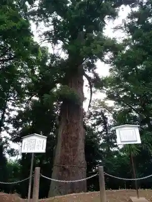 宮崎神社のその他建物