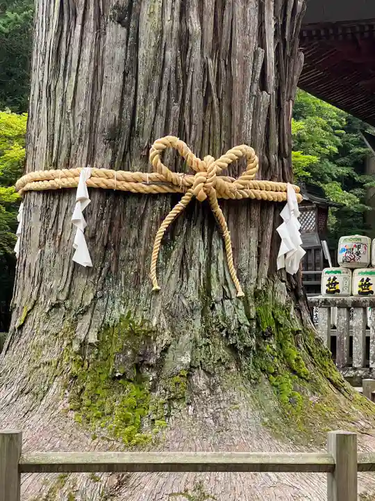 北口本宮冨士浅間神社のその他建物