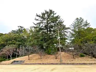 島原護国神社(長崎県)