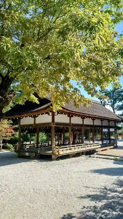賀茂別雷神社(上賀茂神社)(京都府)