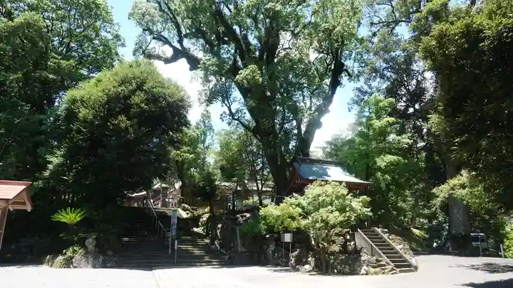 鹿児島神宮(鹿児島県)