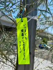 眞中神社の建物その他