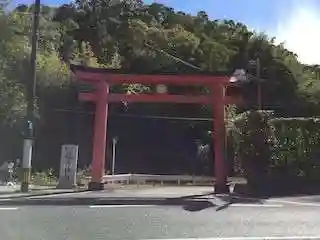 岩崎稲荷神社の鳥居