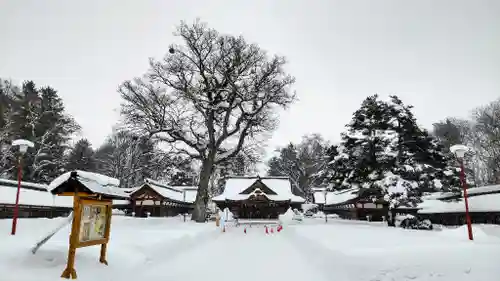 北海道護國神社の本殿