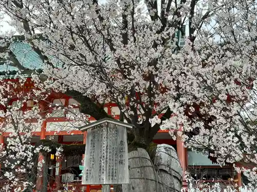 平安神宮(京都府)