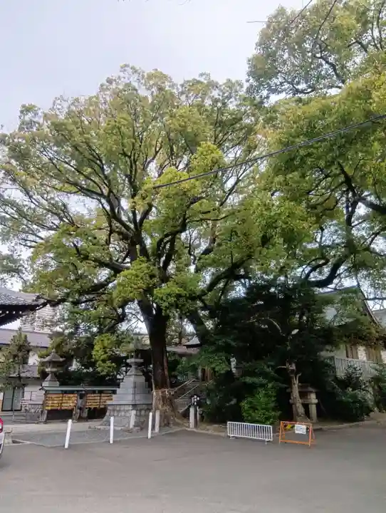 加納天満宮(岐阜県)