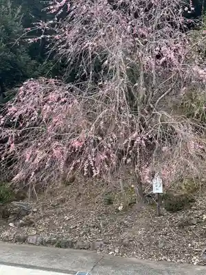 妙祐寺(福井県)