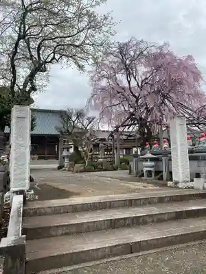 洞昌院(神奈川県)