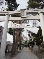 亀有香取神社の鳥居