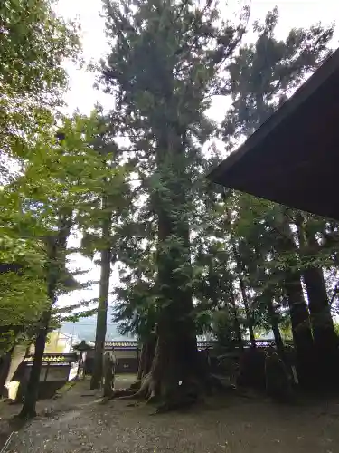 大悲願寺(東京都)