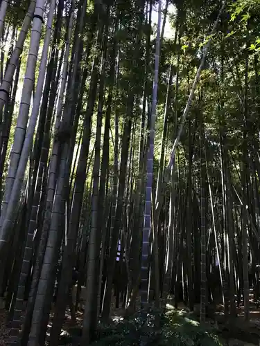報国寺のその他建物