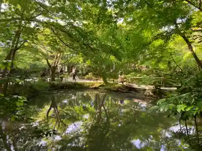 圓光寺(京都府)