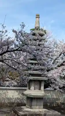 妙顯寺（妙顕寺）(京都府)