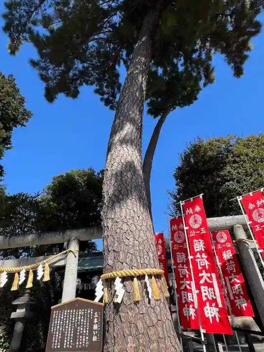 中野沼袋氷川神社(東京都)