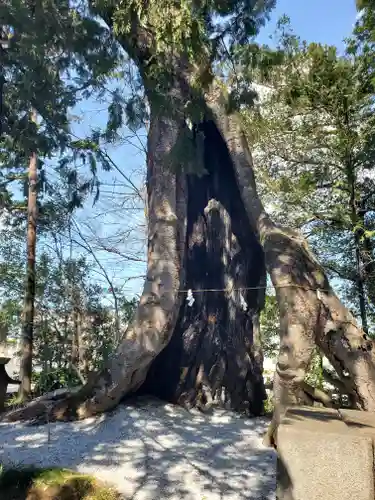 上野総社神社(群馬県)