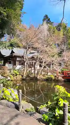 貫井神社の{uncategorized: "未分類", other: "その他", undefined: "問題あり", building: "その他建物", grave: "お墓", sacred_gate: "鳥居", guardian: "狛犬", statue: "像", buddha: "仏像", history: "歴史", nature: "自然", garden: "庭園", animal: "動物", pagoda: "塔", temizu: "手水舎", mountain_gate: "山門・神門", sanctuary: "本殿・本堂", subordinate: "末社・摂社", art: "芸術", scenery: "景色", jizo: "地蔵", ema: "絵馬", goshuin: "御朱印", omikuji: "おみくじ", items: "授与品その他", amulet: "お守り", goshuincho: "御朱印帳", eats: "食事", festival: "お祭り", votive_dance: "神楽", shichigosan: "七五三参", wedding: "結婚式", experience: "体験その他", initially: "初詣", around: "周辺", anti_infection: "感染症対策"}