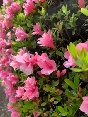 御嶽山神社の自然