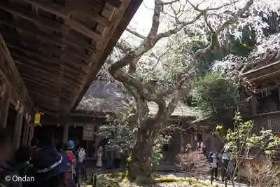 吉野水分神社(吉野町)の本殿・本堂