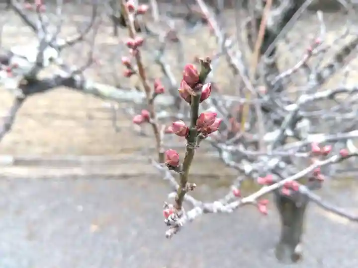 慈済院(京都府)