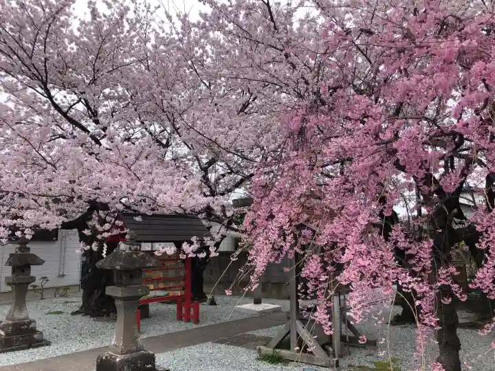 七郷神社の{uncategorized: "未分類", other: "その他", undefined: "問題あり", building: "その他建物", grave: "お墓", sacred_gate: "鳥居", guardian: "狛犬", statue: "像", buddha: "仏像", history: "歴史", nature: "自然", garden: "庭園", animal: "動物", pagoda: "塔", temizu: "手水舎", mountain_gate: "山門・神門", sanctuary: "本殿・本堂", subordinate: "末社・摂社", art: "芸術", scenery: "景色", jizo: "地蔵", ema: "絵馬", goshuin: "御朱印", omikuji: "おみくじ", items: "授与品その他", amulet: "お守り", goshuincho: "御朱印帳", eats: "食事", festival: "お祭り", votive_dance: "神楽", shichigosan: "七五三参", wedding: "結婚式", experience: "体験その他", initially: "初詣", around: "周辺", anti_infection: "感染症対策"}