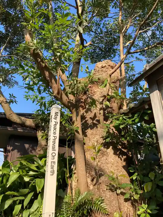 實相寺(実相寺)(神奈川県)