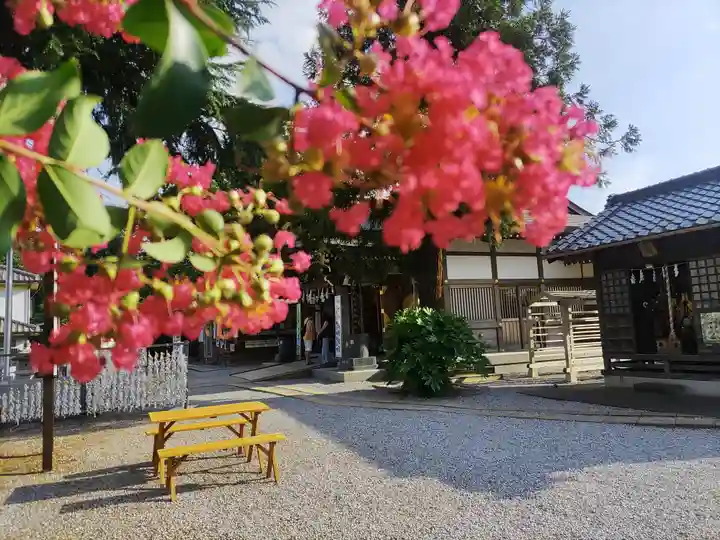 武蔵第六天神社(埼玉県)