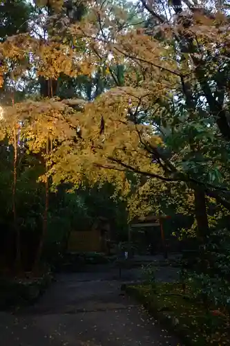 伊勢神宮内宮（皇大神宮）(三重県)