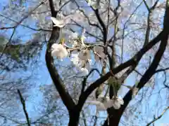 大宮温泉神社(栃木県)