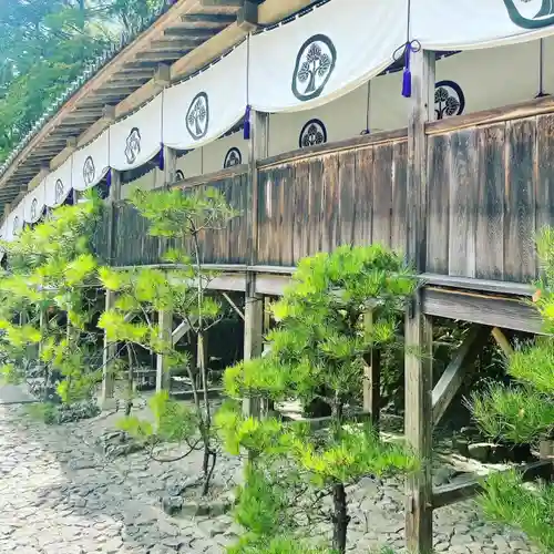 安養寺（立木観音）の建物その他