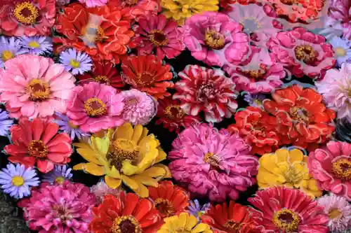 大鏑神社の手水舎