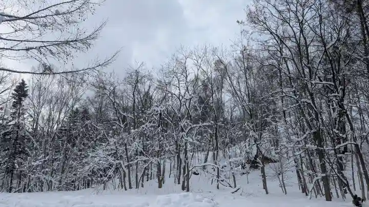 神居神社の自然