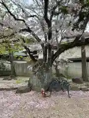 伊勢の国 四天王寺の自然