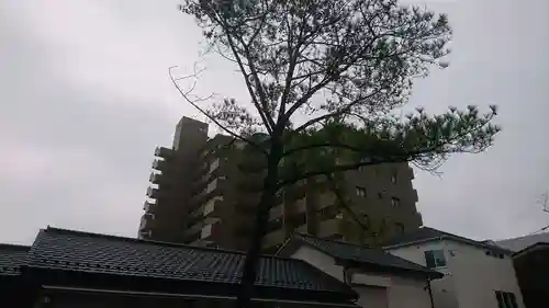 別小江神社の自然