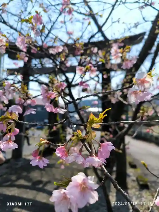 天鷹神社(岐阜県)